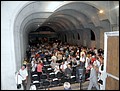 P7057856.JPG
