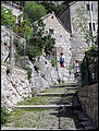 IMG_3890.jpg