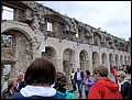 IMG_4053.jpg