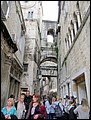 IMG_4103.jpg