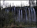 image12675.JPG