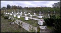 PA185957.JPG